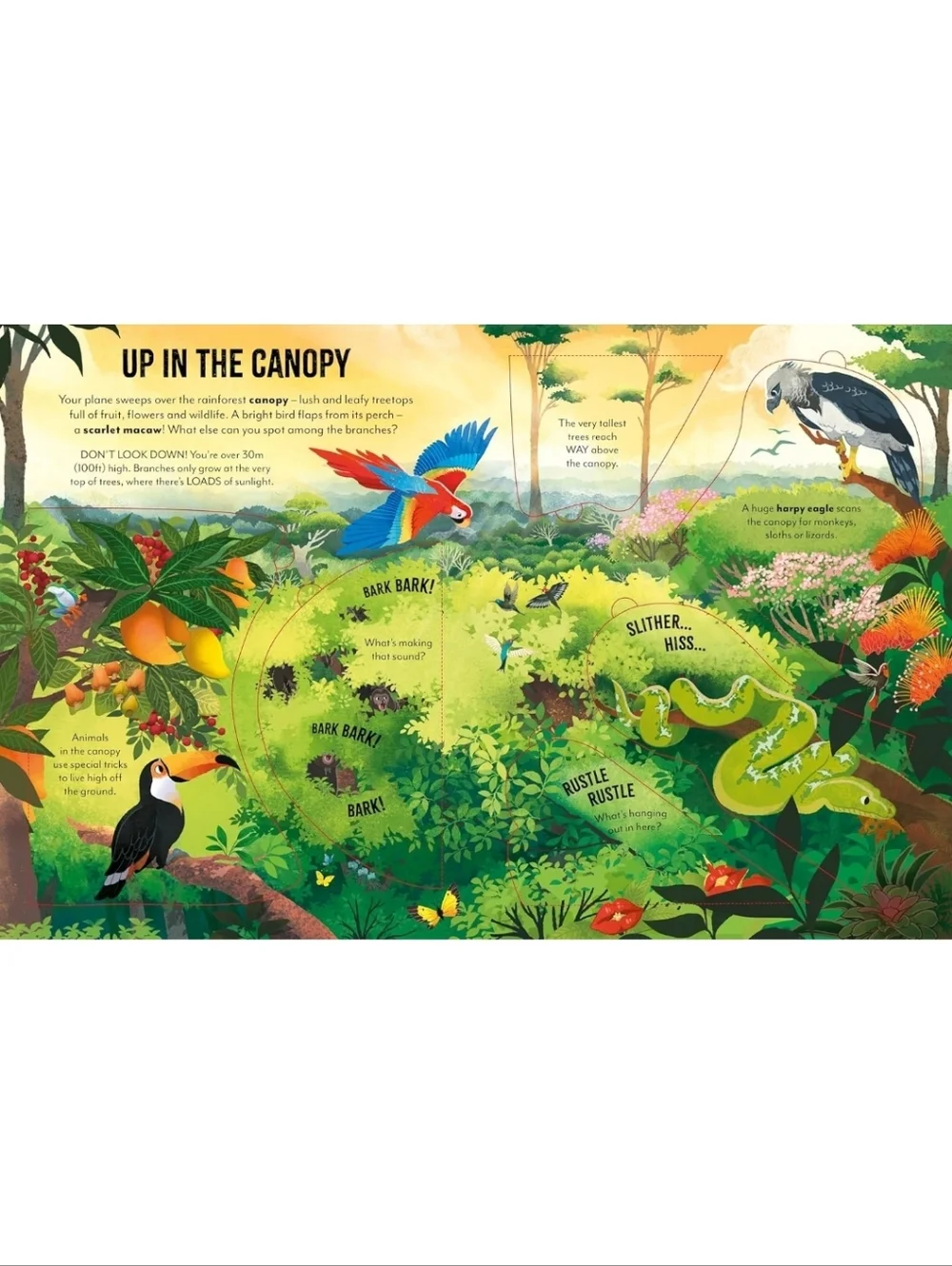 Extreme Planet Journey Through The Amazon A Lift-the-Flap Book NEW